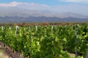 Mendoza Wine Region & Cellars